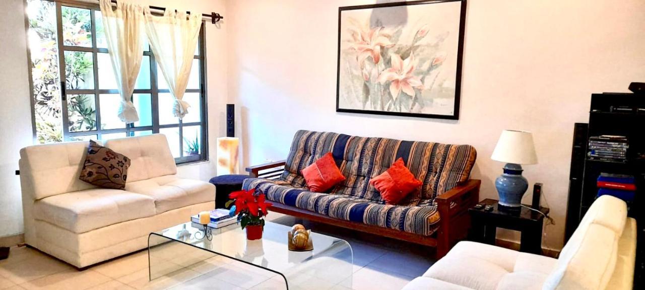La Maison Bleue Cancun Dış mekan fotoğraf